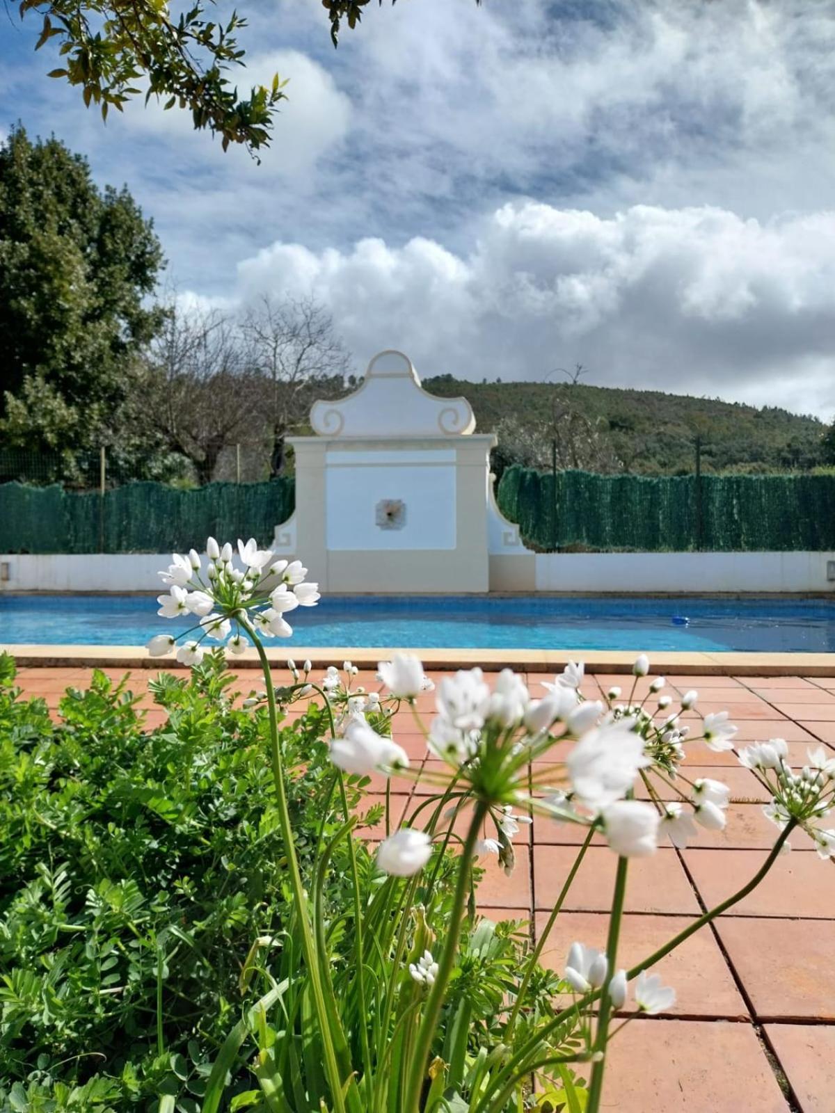 Casa Do Ginjal By Naturalegre Marvão Dış mekan fotoğraf